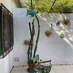 Magiolo House Nyaraló Porto Azzurro